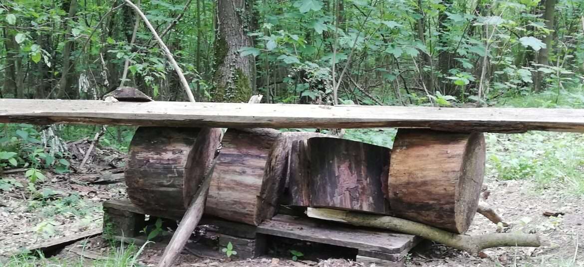1.4.6_1_LandArt